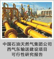中国石油天然气集团公司西气东输建设项目可行性研究报告